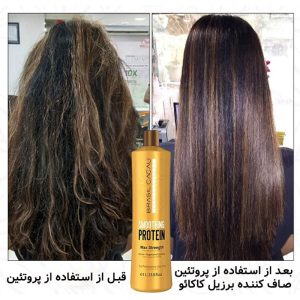 پروتئین صاف کننده برزیل کاکائو